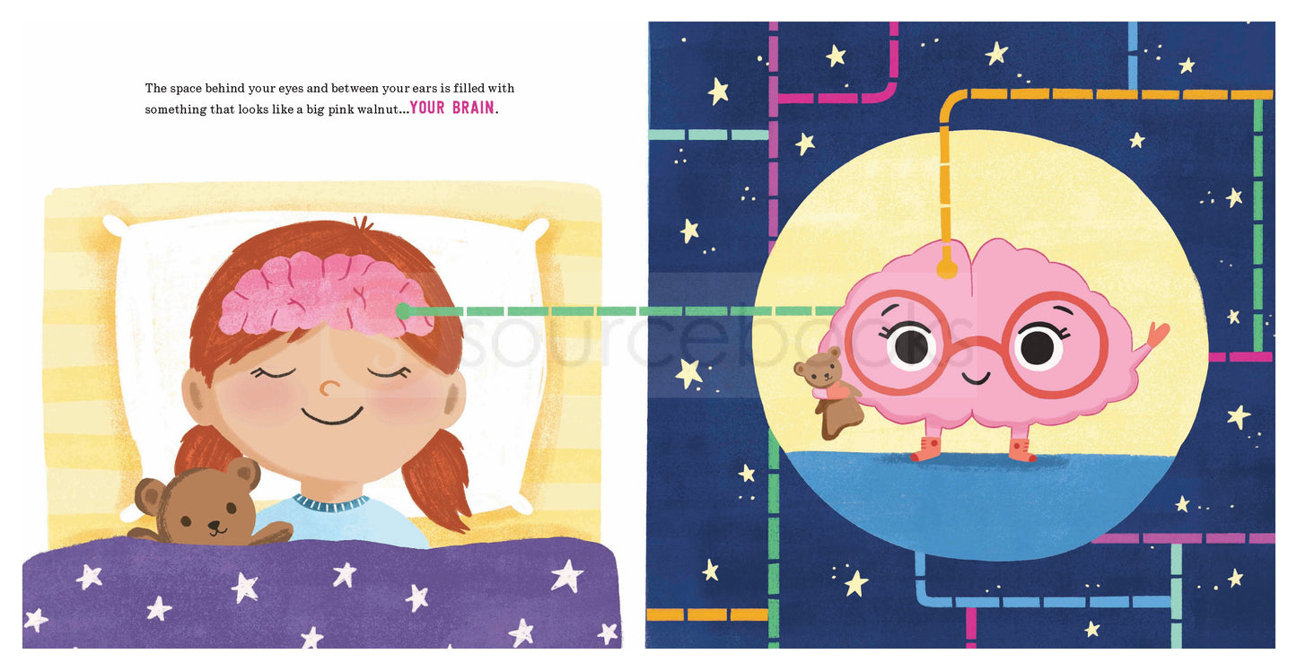 Good Night to Your Fantastic Elastic Brain